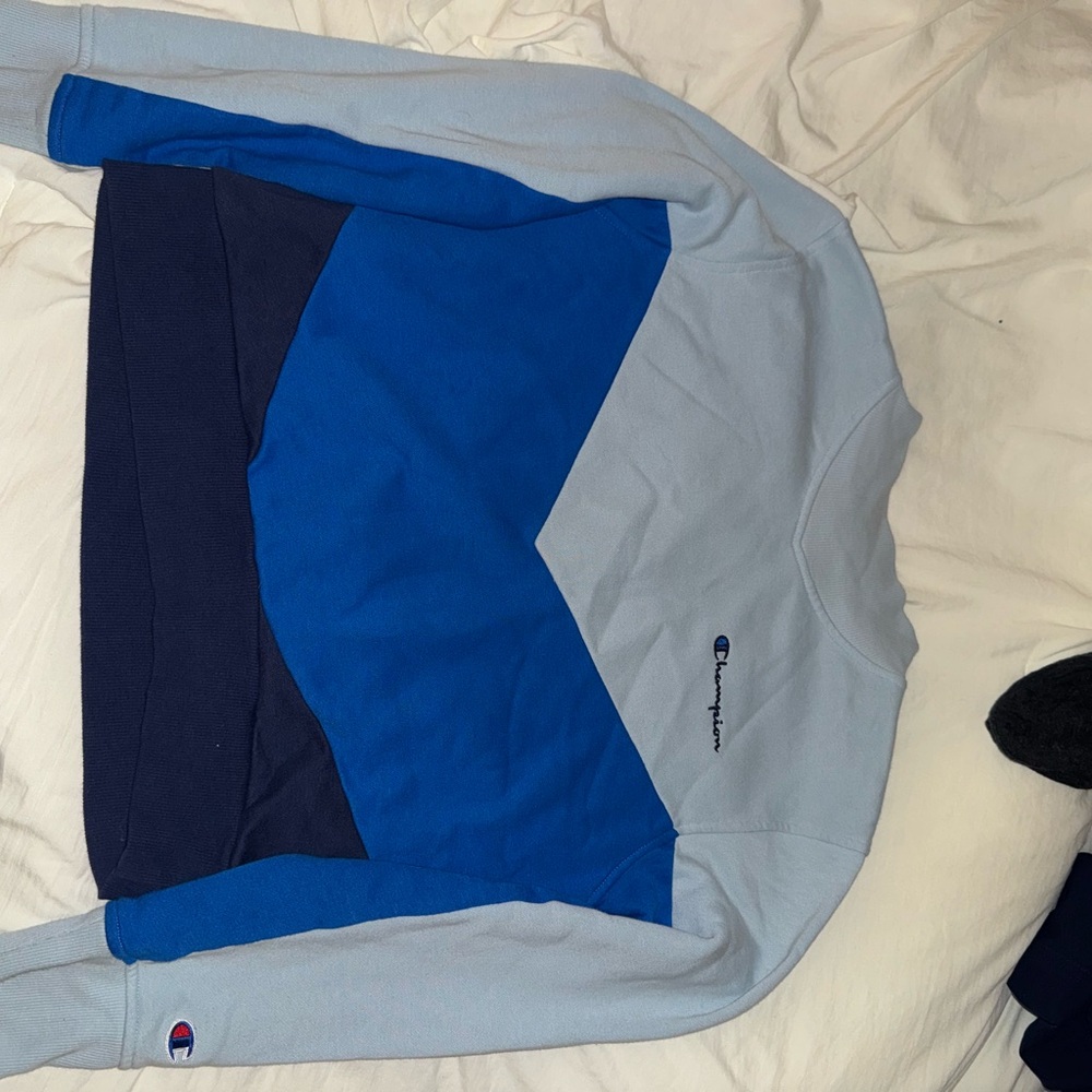 Champion Light Blue Sweatshirt
